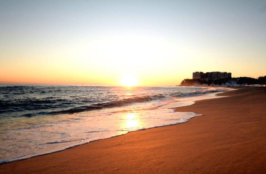 Gahirmatha Marine Sanctuary, , India